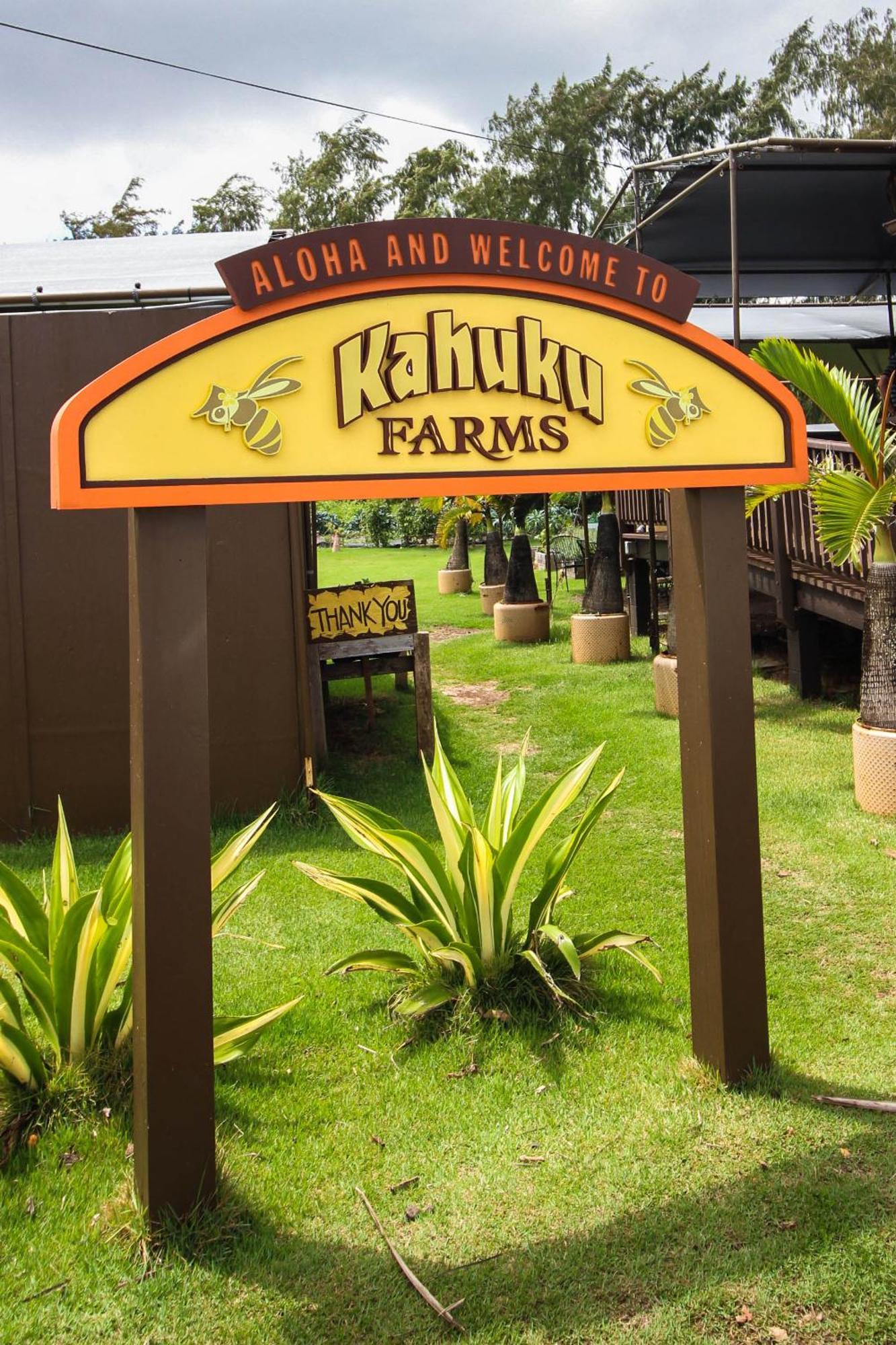 Naupaka Breeze Ocean View Ac 30 Day Stay Specials! Laie Eksteriør bilde