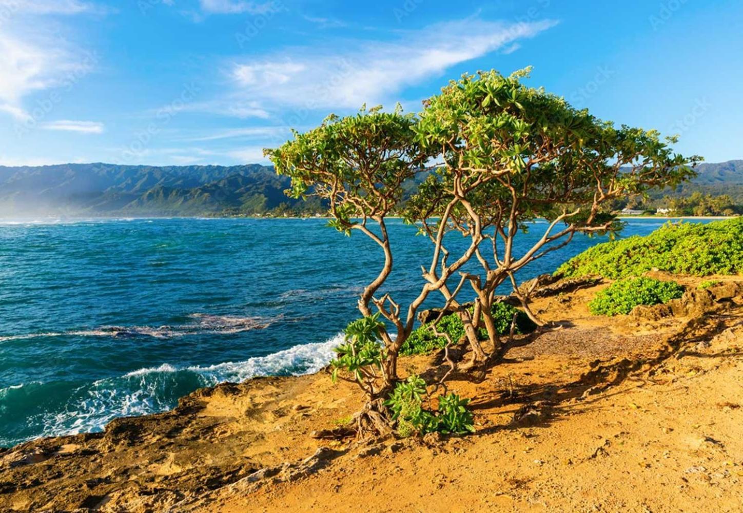 Naupaka Breeze Ocean View Ac 30 Day Stay Specials! Laie Eksteriør bilde